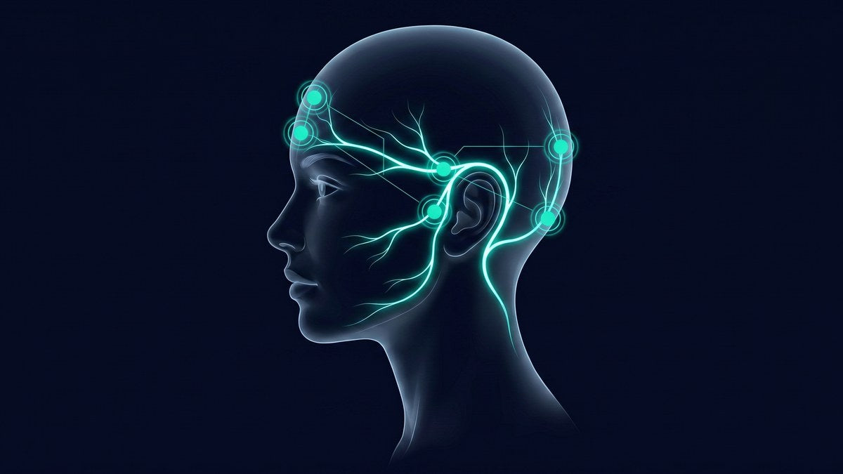Premium medical diagram showing trigeminal nerve branches with six teal airbag zones marked on a human head